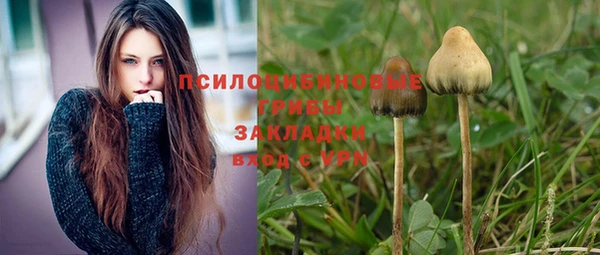 стафф Магадан