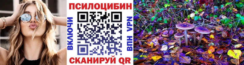 как найти закладки Уяр Псилоцибиновые грибы Magic Shrooms